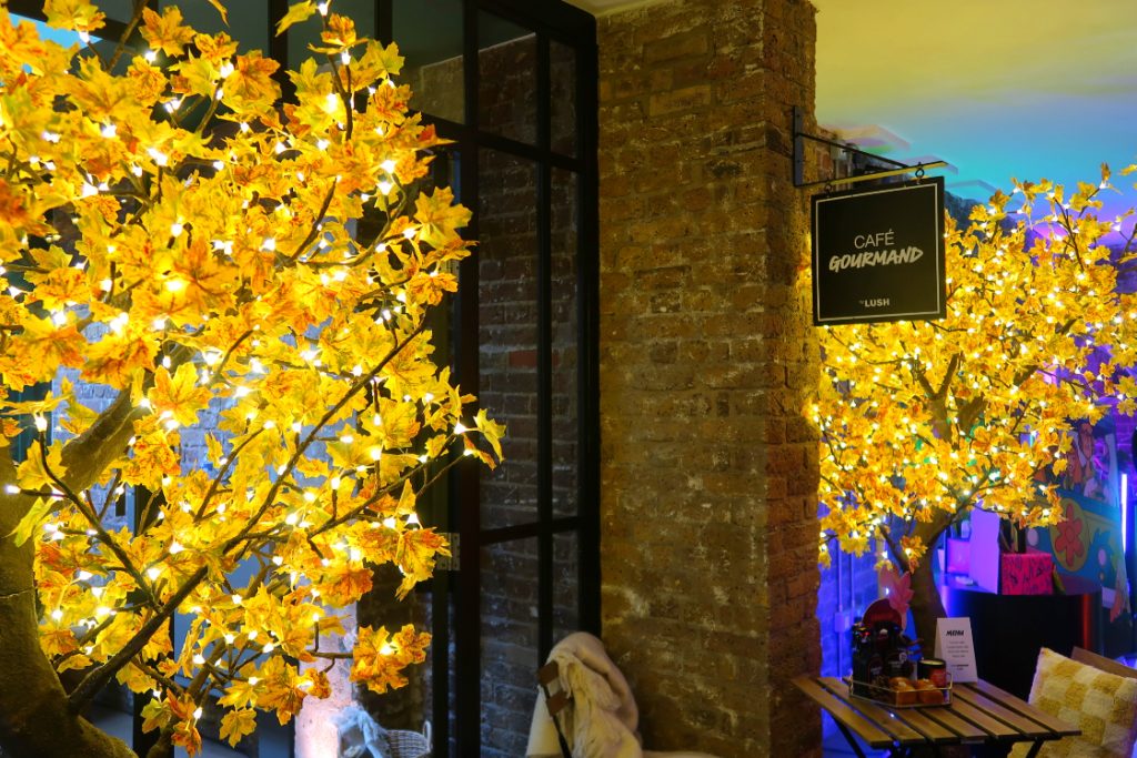 lush-cafe-gourmand-showcase